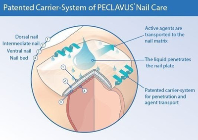 peclavus® PODOmed AntiMYX Protectorstift - sztyft do paznokci z Carrier-System, 4 ml